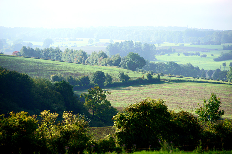 Hameau du Coq Vert - Aubenton